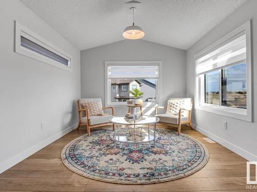 19011 20 Avenue, Edmonton, AB - Indoor Photo Showing Living Room