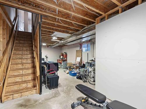 10146 159 Street, Edmonton, AB - Indoor Photo Showing Basement