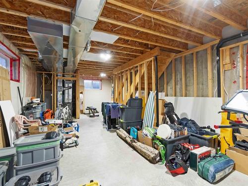 10146 159 Street, Edmonton, AB - Indoor Photo Showing Basement