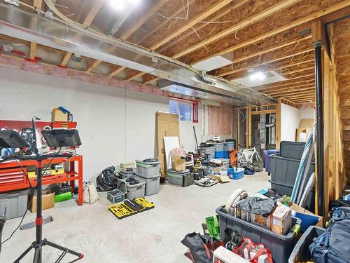 10146 159 Street, Edmonton, AB - Indoor Photo Showing Basement