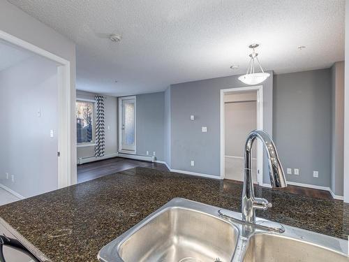 107 11804 22 Avenue, Edmonton, AB - Indoor Photo Showing Kitchen With Double Sink