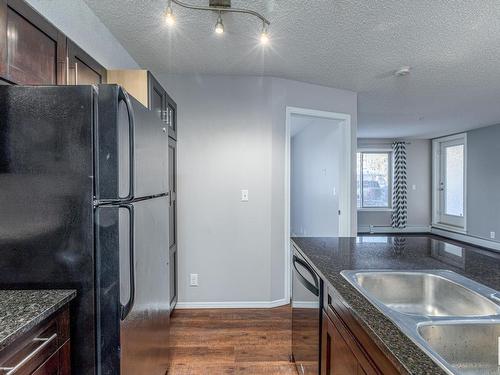 107 11804 22 Avenue, Edmonton, AB - Indoor Photo Showing Kitchen With Double Sink