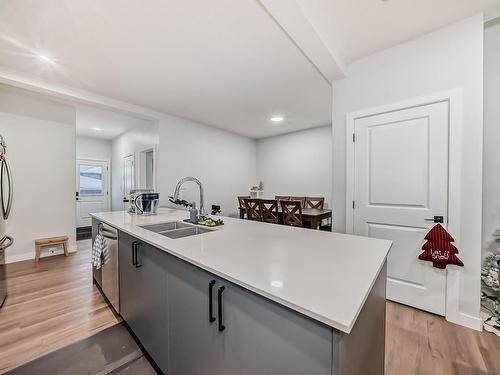 1215 Eaton Lane, Edmonton, AB - Indoor Photo Showing Kitchen With Double Sink