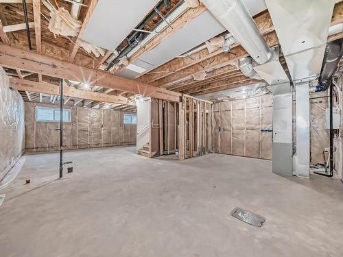 351 Bluff Cove, Leduc, AB - Indoor Photo Showing Basement