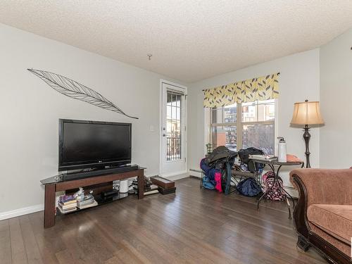 A313 11445 Ellerslie Road Sw, Edmonton, AB - Indoor Photo Showing Living Room