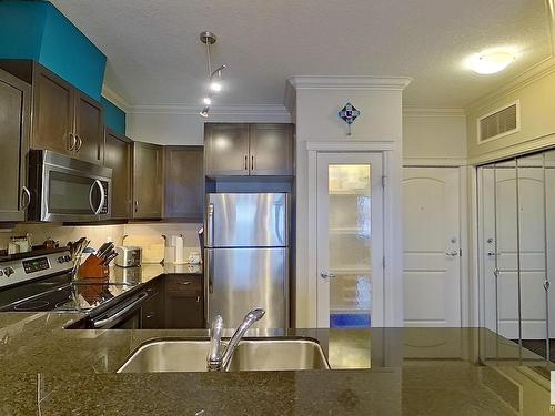 249 10121 80 Avenue, Edmonton, AB - Indoor Photo Showing Kitchen With Stainless Steel Kitchen With Double Sink With Upgraded Kitchen