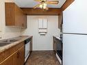 204 18004 95 Avenue, Edmonton, AB  - Indoor Photo Showing Kitchen With Double Sink 