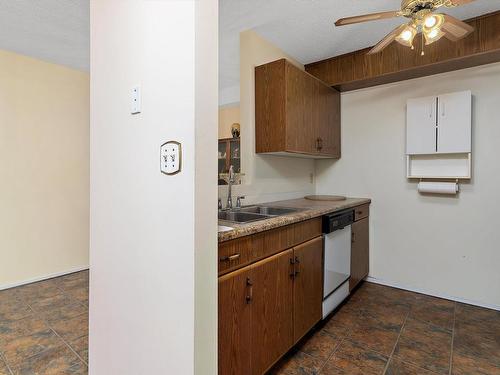 204 18004 95 Avenue, Edmonton, AB - Indoor Photo Showing Kitchen With Double Sink