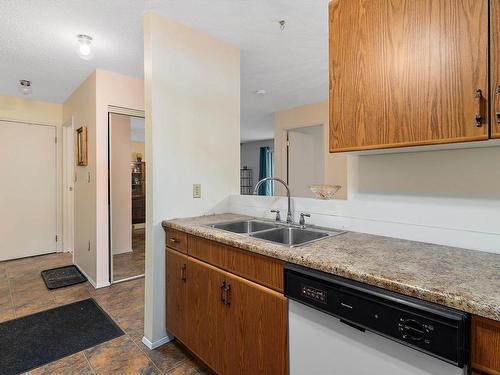 204 18004 95 Avenue, Edmonton, AB - Indoor Photo Showing Kitchen With Double Sink