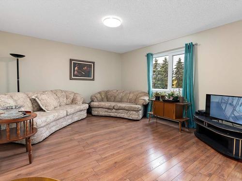 204 18004 95 Avenue, Edmonton, AB - Indoor Photo Showing Living Room