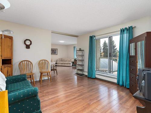 204 18004 95 Avenue, Edmonton, AB - Indoor Photo Showing Living Room