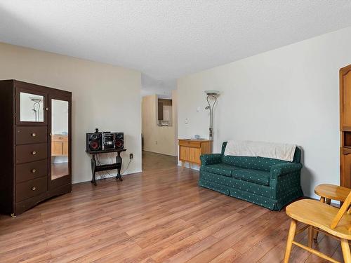 204 18004 95 Avenue, Edmonton, AB - Indoor Photo Showing Living Room