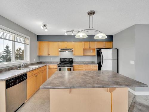 122 12050 17 Avenue, Edmonton, AB - Indoor Photo Showing Kitchen With Double Sink