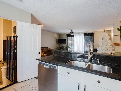 14632 95 Avenue, Edmonton, AB - Indoor Photo Showing Kitchen With Double Sink