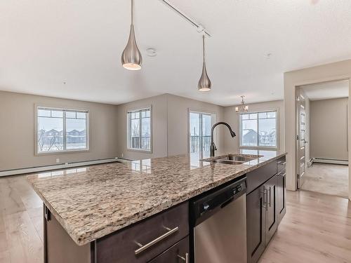 302 4008 Savaryn Drive, Edmonton, AB - Indoor Photo Showing Kitchen With Double Sink With Upgraded Kitchen