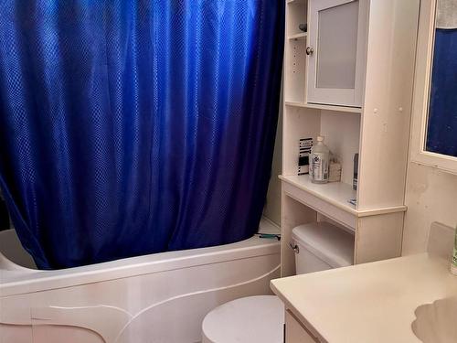 4822 53 Avenue, Willingdon, AB - Indoor Photo Showing Bathroom