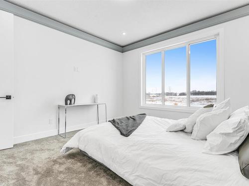 211 28 Street, Edmonton, AB - Indoor Photo Showing Bedroom