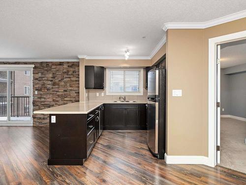 315 14604 125 Street, Edmonton, AB - Indoor Photo Showing Kitchen With Double Sink