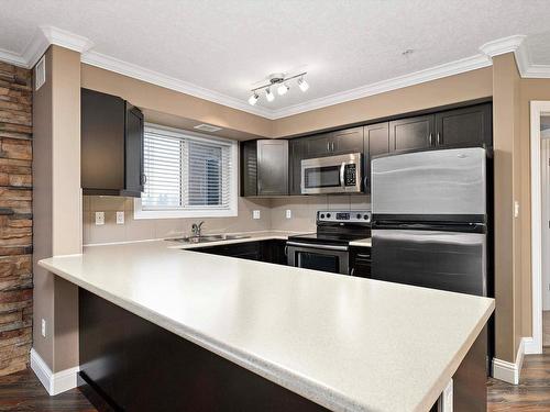 315 14604 125 Street, Edmonton, AB - Indoor Photo Showing Kitchen With Double Sink With Upgraded Kitchen