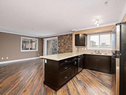 315 14604 125 Street, Edmonton, AB - Indoor Photo Showing Kitchen With Double Sink