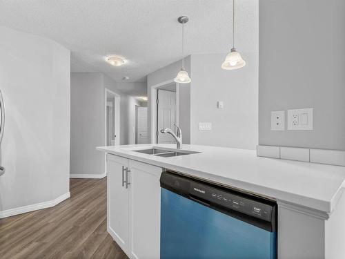 106 636 Mcallister Loop, Edmonton, AB - Indoor Photo Showing Kitchen With Double Sink