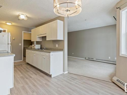 204 12110 119 Ave, Edmonton, AB - Indoor Photo Showing Kitchen