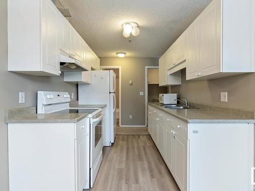 204 12110 119 Ave, Edmonton, AB - Indoor Photo Showing Kitchen With Double Sink