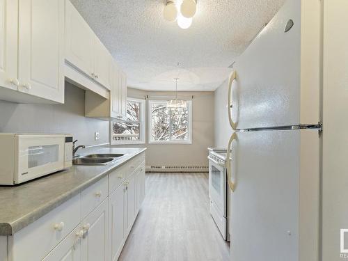 204 12110 119 Ave, Edmonton, AB - Indoor Photo Showing Kitchen With Double Sink