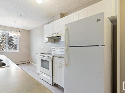 204 12110 119 Ave, Edmonton, AB - Indoor Photo Showing Kitchen