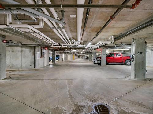 259 7805 71 Street, Edmonton, AB - Indoor Photo Showing Garage