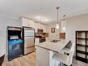 259 7805 71 Street, Edmonton, AB  - Indoor Photo Showing Kitchen With Double Sink 