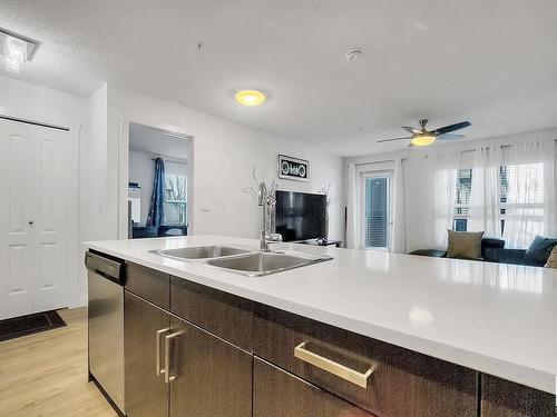 214 667 Watt Boulevard, Edmonton, AB - Indoor Photo Showing Kitchen With Double Sink