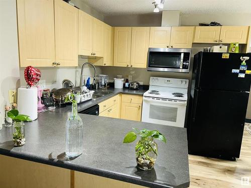 104 4407 23 Street Nw, Edmonton, AB - Indoor Photo Showing Kitchen