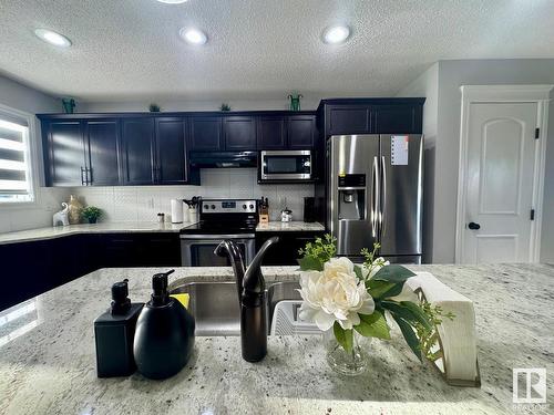 293 Desrochers Boulevard, Edmonton, AB - Indoor Photo Showing Kitchen With Upgraded Kitchen