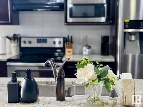 293 Desrochers Boulevard, Edmonton, AB - Indoor Photo Showing Kitchen With Double Sink With Upgraded Kitchen