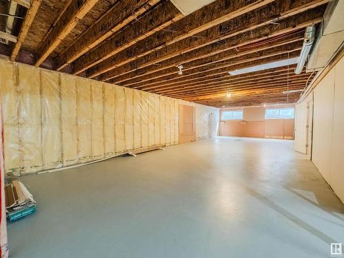 45 18343 Lessard Road, Edmonton, AB - Indoor Photo Showing Basement