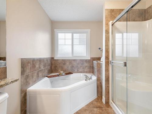 3231 Whitelaw Drive, Edmonton, AB - Indoor Photo Showing Bathroom