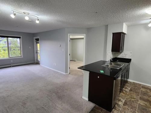 210 1080 Mcconachie Boulevard, Edmonton, AB - Indoor Photo Showing Kitchen With Double Sink