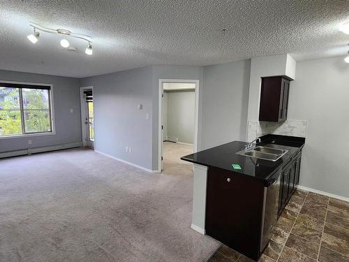 210 1080 Mcconachie Boulevard, Edmonton, AB - Indoor Photo Showing Kitchen With Double Sink