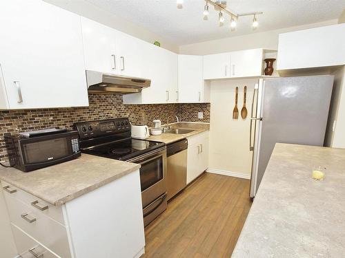 10 13570 38 Street, Edmonton, AB - Indoor Photo Showing Kitchen With Double Sink