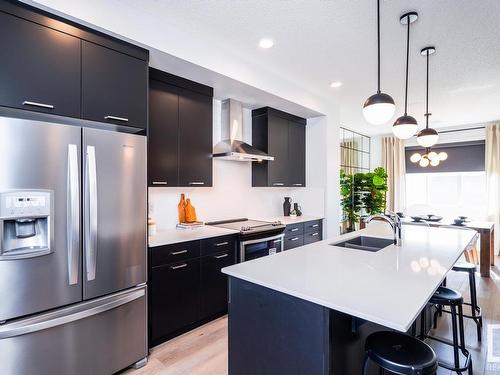 51 Nouveau Drive, St. Albert, AB - Indoor Photo Showing Kitchen With Double Sink With Upgraded Kitchen