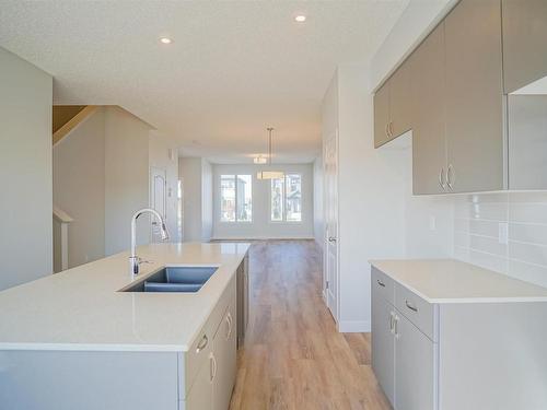 2419 Trumpeter Way, Edmonton, AB - Indoor Photo Showing Kitchen With Double Sink