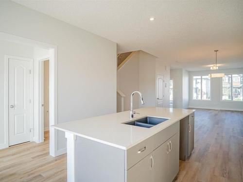 2419 Trumpeter Way, Edmonton, AB - Indoor Photo Showing Kitchen With Double Sink