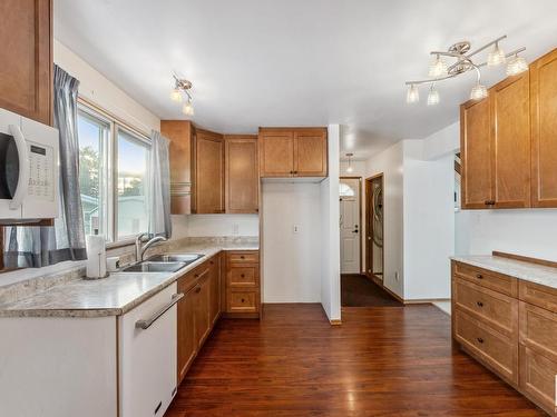 3907 112A Street, Edmonton, AB - Indoor Photo Showing Kitchen With Double Sink