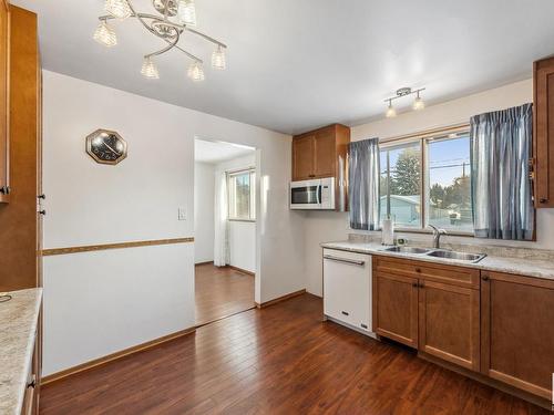 3907 112A Street, Edmonton, AB - Indoor Photo Showing Kitchen With Double Sink