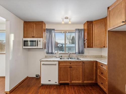 3907 112A Street, Edmonton, AB - Indoor Photo Showing Kitchen With Double Sink