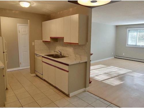 204 14903 92 Avenue, Edmonton, AB - Indoor Photo Showing Kitchen With Double Sink