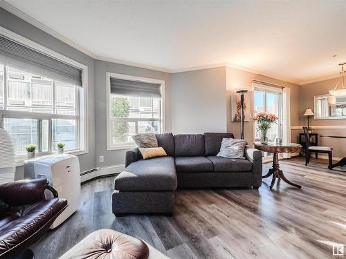 310 9938 104 Street, Edmonton, AB - Indoor Photo Showing Living Room