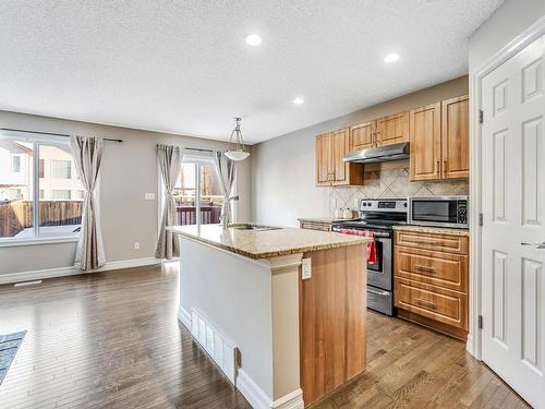 16725 120 Street, Edmonton, AB - Indoor Photo Showing Kitchen With Stainless Steel Kitchen