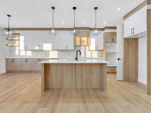 8410 228A Street, Edmonton, AB - Indoor Photo Showing Kitchen With Upgraded Kitchen